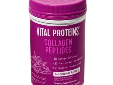 Vital Proteins Collagen Peptides Dark Chocolate Blackberry Supply