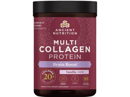 Ancient Nutrition Multi Collagen Protein Brain Boost Vanilla 45 Servings Online Sale