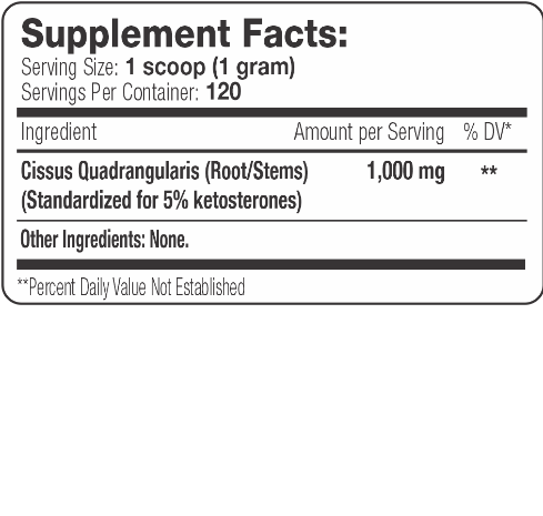 Serious Nutrition Solutions Cissus XT 120 Grams Online