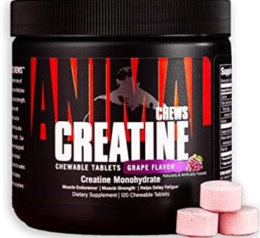 Animal Creatine Chews 120 Chewable Tablets Online now