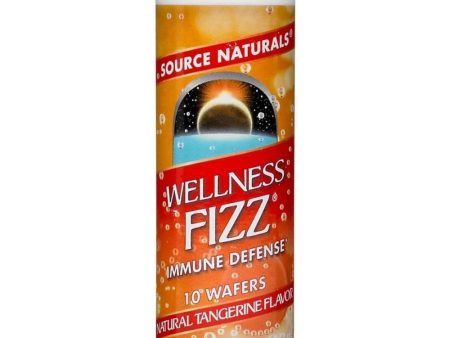 Source Naturals Wellness Fizz 10 Wafers Cheap