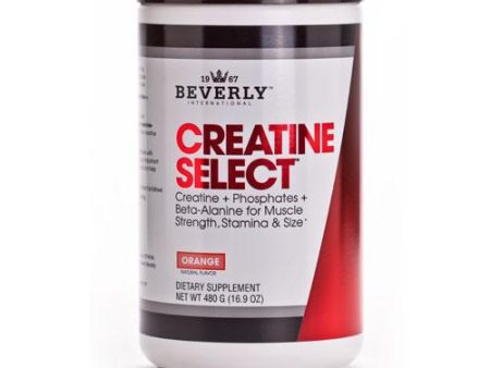 Beverly International Creatine Select 480g Cheap