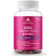 Ancient Nutrition SBO Probiotic Gummy 10b CFU 60 Gummies Hot on Sale