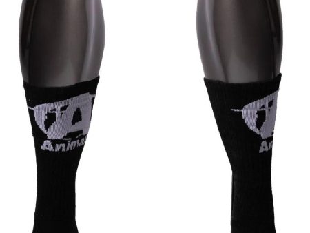 Universal Nutrition Animal Socks For Discount